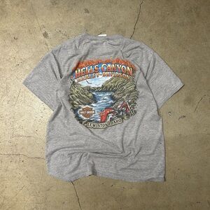 Harley Davidson tee
